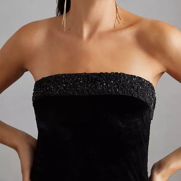 Payal Jain | Strapless Beaded Velvet Column Maxi Gown | NWT - Picture 10 of 11